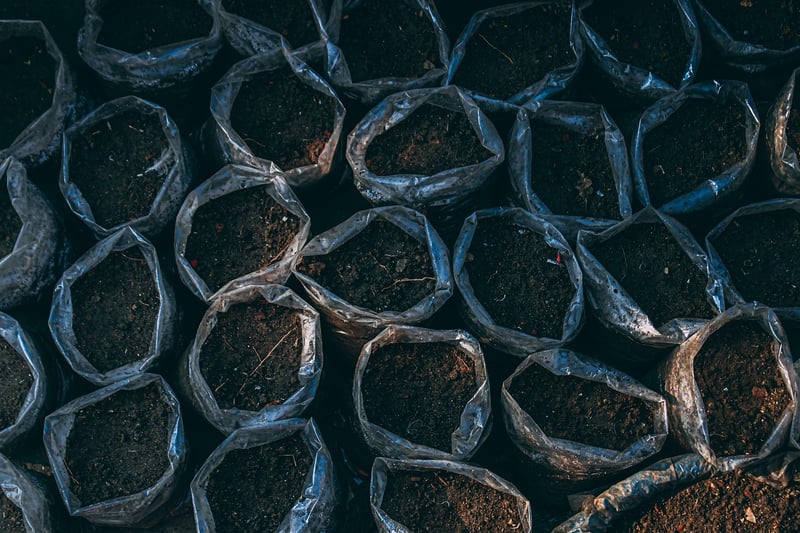 Container gardening