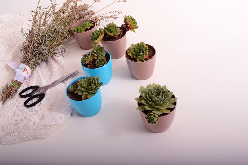 Indoor herb gardens